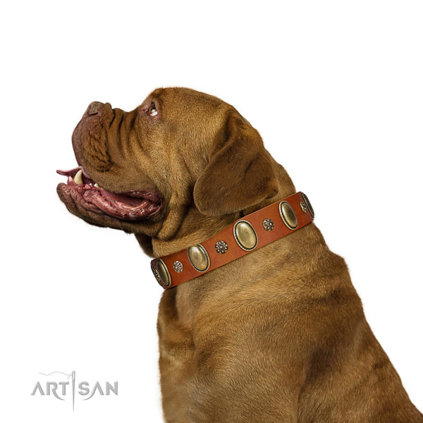 Walking gentle to touch genuine leather dog collar with adornments