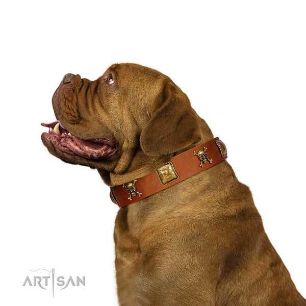 Unique full grain leather dog collar with strong decorations