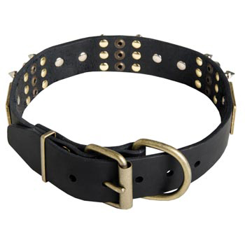 Studded Leather Dogue de Bordeaux Collar for Walking