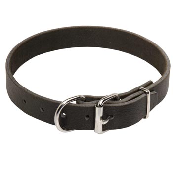 Dog Leather Collar for Dogue de Bordeaux Training and Walking