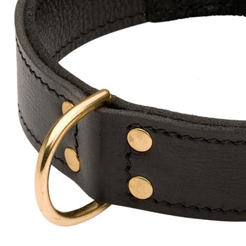 Brass D-ring Stitched to Leather Dogue de Bordeaux Collar