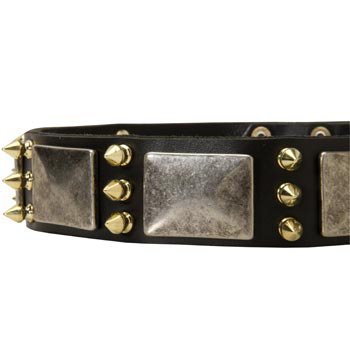 Stylish Leather Dog Collar for Dogue de Bordeaux