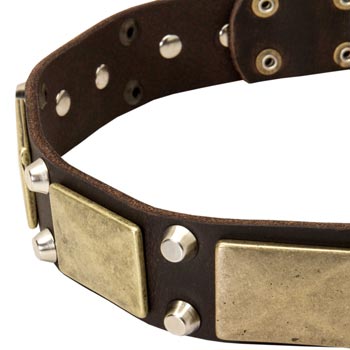 Leather Dogue de Bordeaux Collar with Nickel Studs