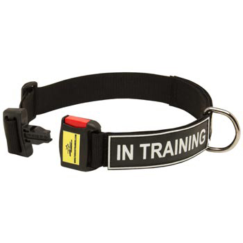 Nylon Dog Collar for Dogue de Bordeaux Police Training