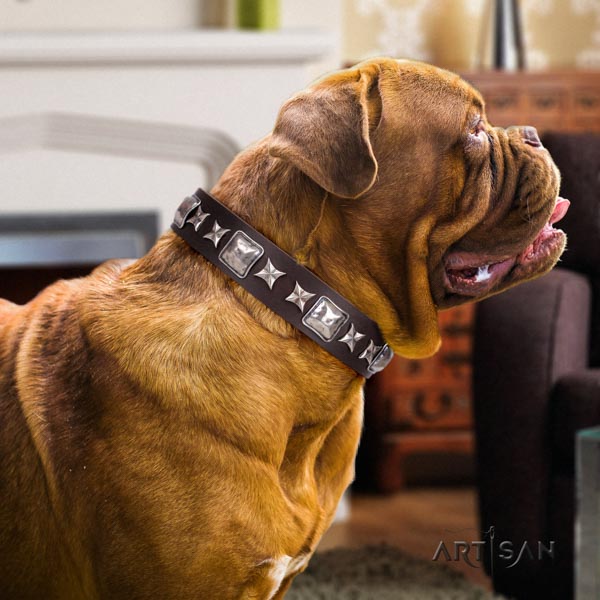 Dogue de Bordeaux remarkable full grain natural leather collar for daily use