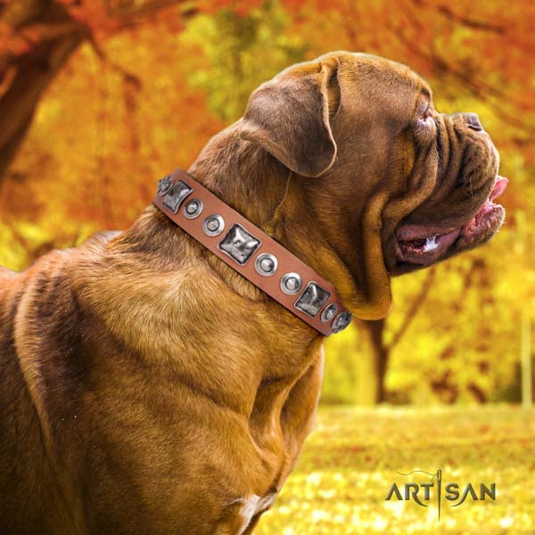 Dogue de Bordeaux exceptional natural genuine leather collar for everyday use