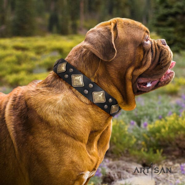 Dogue de Bordeaux exquisite leather collar for daily use