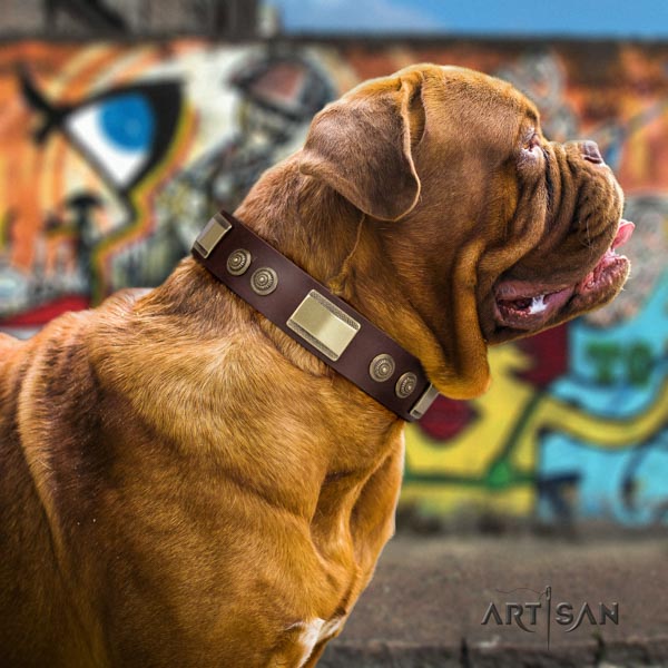 Dogue de Bordeaux stylish genuine leather collar for fancy walking