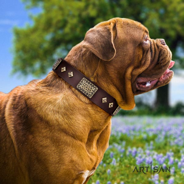 Dogue de Bordeaux exquisite genuine leather collar for daily walking