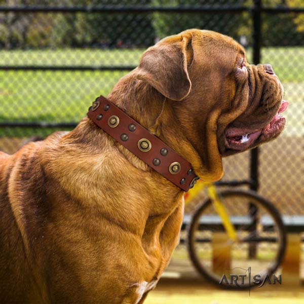 Dogue de Bordeaux unique genuine leather collar for daily use