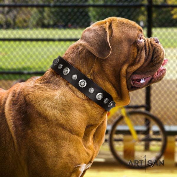 Dogue de Bordeaux stylish genuine leather collar for basic training