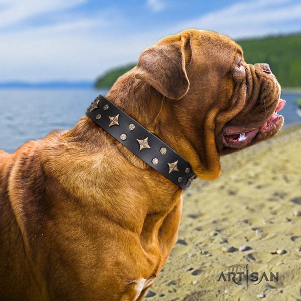 Dogue de Bordeaux stylish full grain leather collar for comfortable wearing