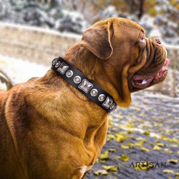 Dogue de Bordeaux designer full grain genuine leather collar for comfortable wearing