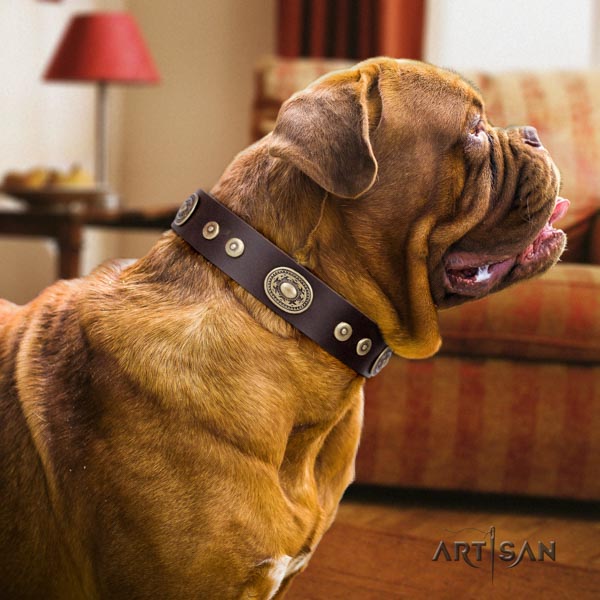 Dogue de Bordeaux exquisite full grain natural leather collar for basic training