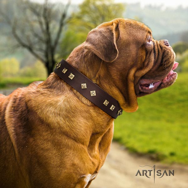 Dogue de Bordeaux trendy genuine leather collar for comfy wearing