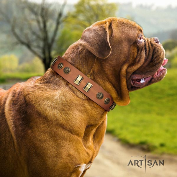 Dogue de Bordeaux stunning natural genuine leather collar for easy wearing