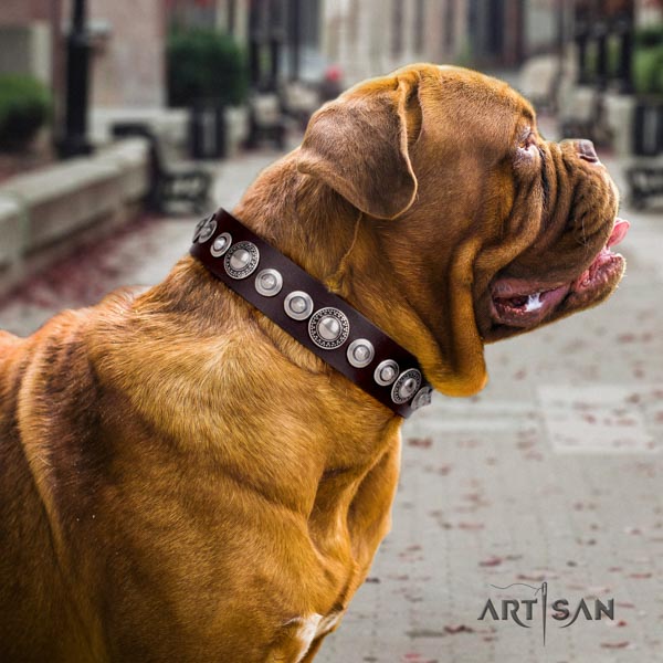 Dogue de Bordeaux designer full grain leather collar for walking