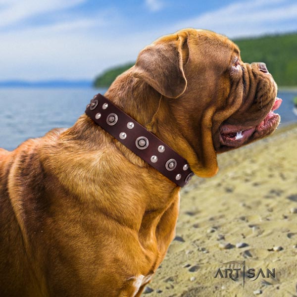 Dogue de Bordeaux significant full grain natural leather collar for comfortable wearing