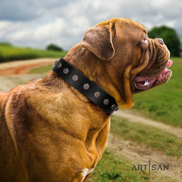 Dogue de Bordeaux decorated full grain genuine leather dog collar for your impressive pet