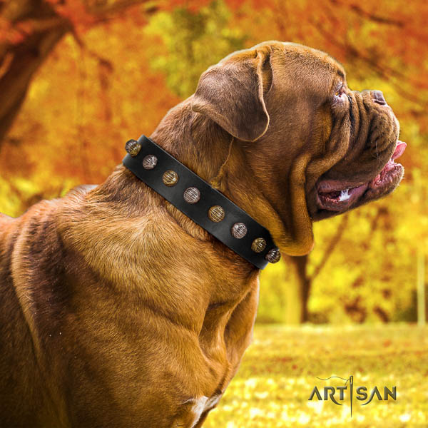 Dogue de Bordeaux embellished leather dog collar for your lovely dog