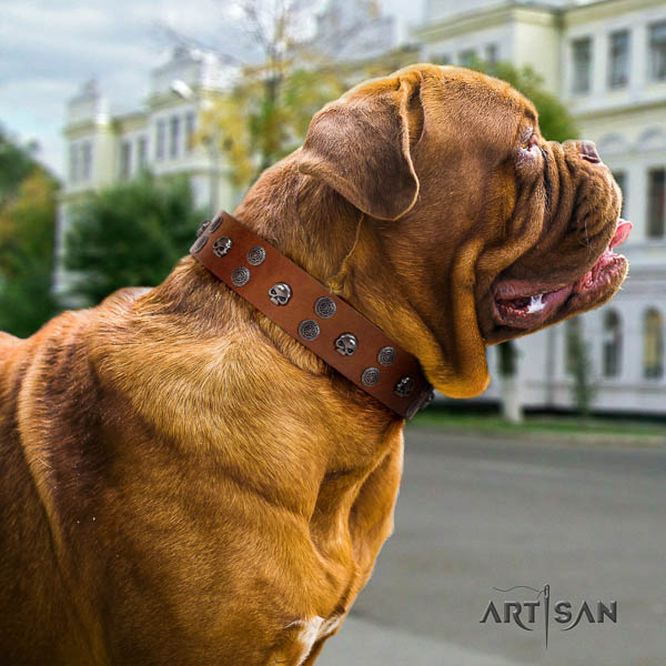 Dogue de Bordeaux embellished natural genuine leather dog collar for your stylish doggie