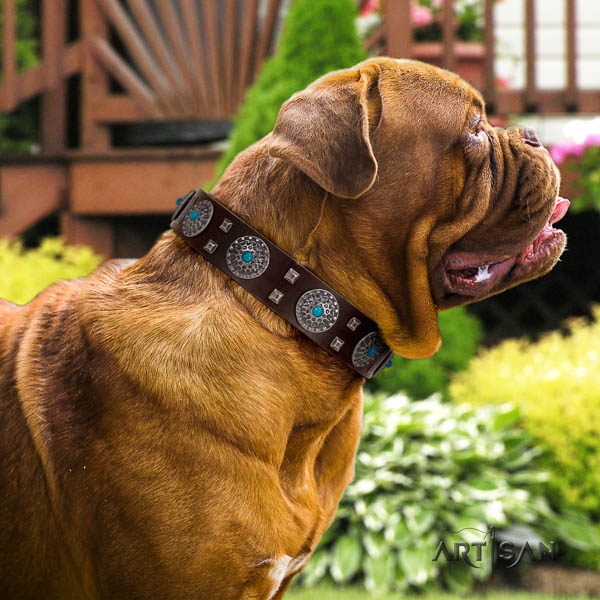 Dogue de Bordeaux embellished genuine leather dog collar for your beautiful pet