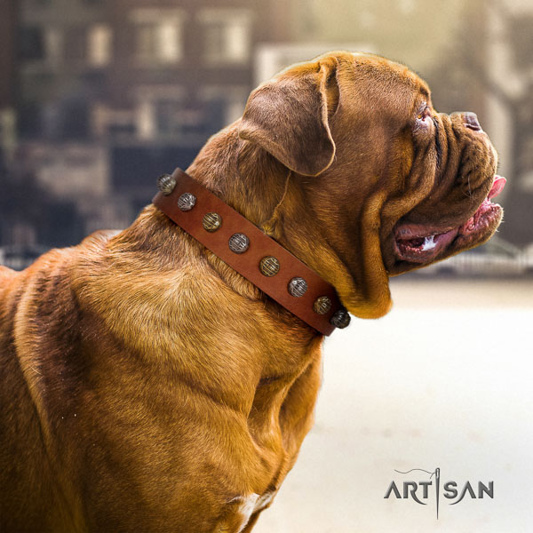 Dogue de Bordeaux embellished full grain natural leather dog collar for your attractive canine