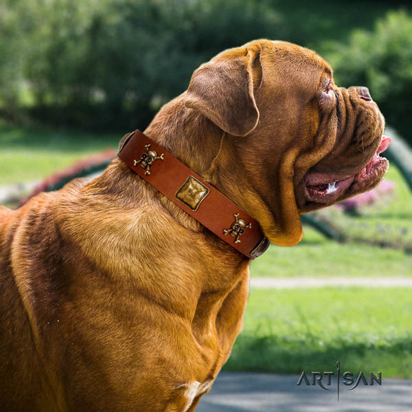 Dogue de Bordeaux adorned natural genuine leather dog collar for your handsome four-legged friend