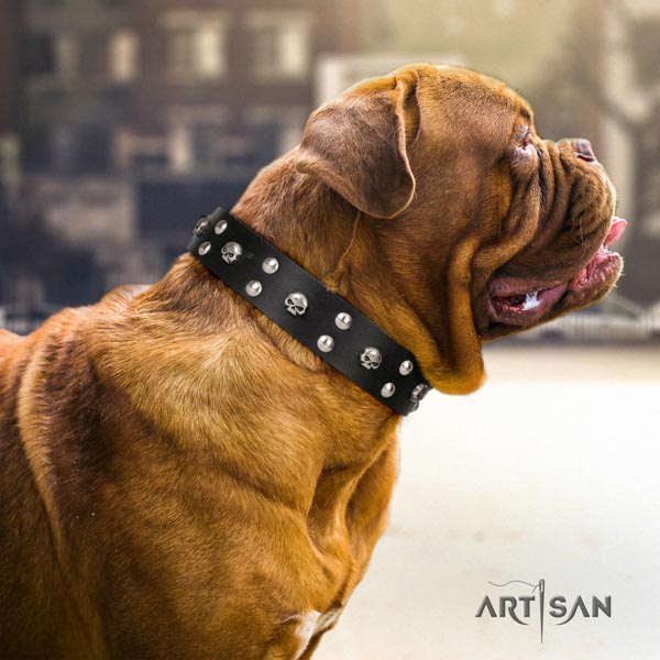 Dogue de Bordeaux inimitable full grain leather collar for daily use