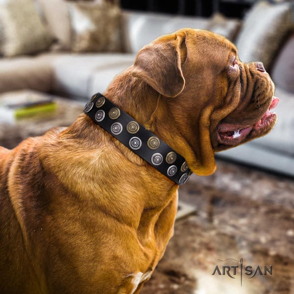 Dogue de Bordeaux trendy full grain natural leather collar for everyday walking