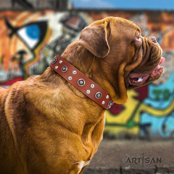 Dogue de Bordeaux remarkable full grain leather collar for comfy wearing