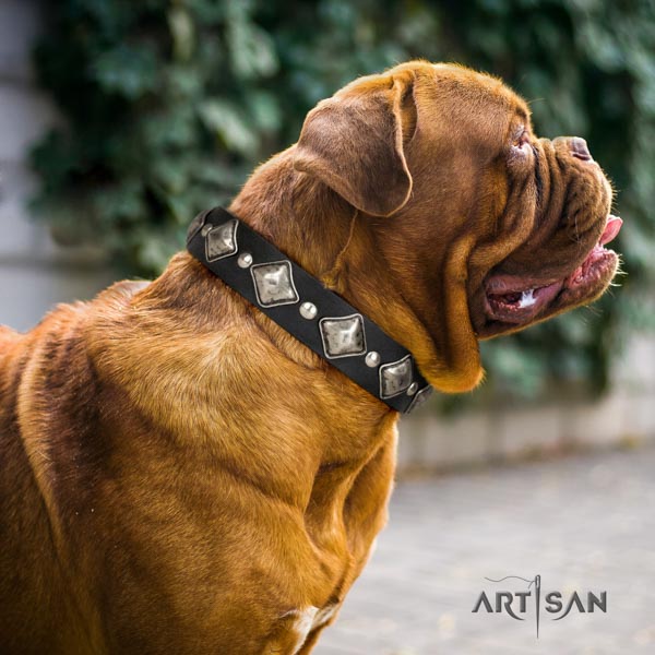 Dogue de Bordeaux inimitable full grain genuine leather collar for comfy wearing