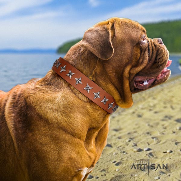 Dogue de Bordeaux impressive natural genuine leather collar for stylish walking