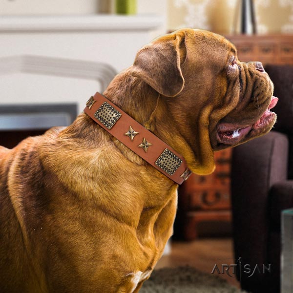 Dogue de Bordeaux top notch full grain natural leather collar for everyday use