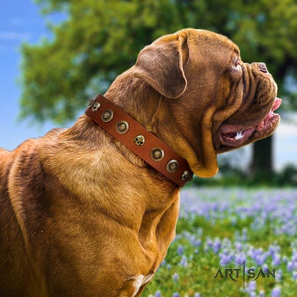 Dogue de Bordeaux adorned genuine leather dog collar for your attractive dog