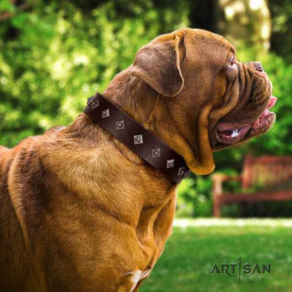 Dogue de Bordeaux adorned full grain genuine leather dog collar for your impressive canine