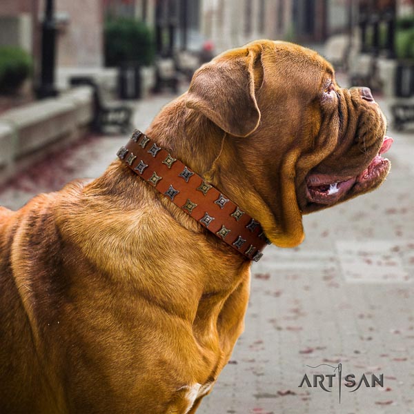 Dogue de Bordeaux studded full grain natural leather dog collar for your handsome pet