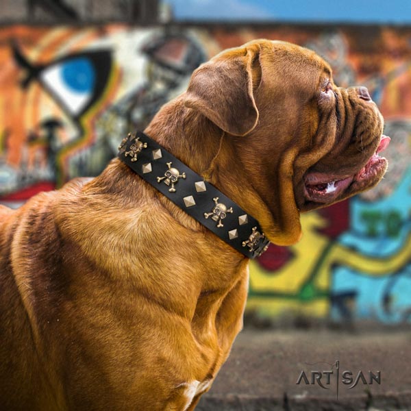 Dogue de Bordeaux stylish genuine leather collar for everyday use