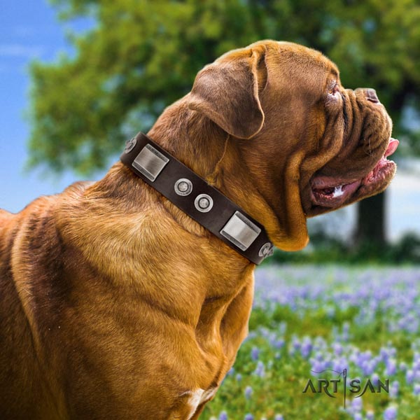 Dogue de Bordeaux incredible full grain leather collar for comfy wearing