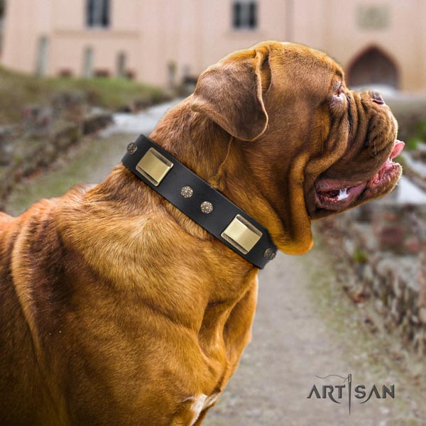 Dogue de Bordeaux exquisite full grain genuine leather collar for comfortable wearing