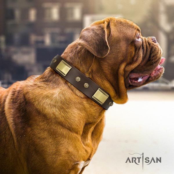 Dogue de Bordeaux impressive full grain natural leather collar for comfy wearing