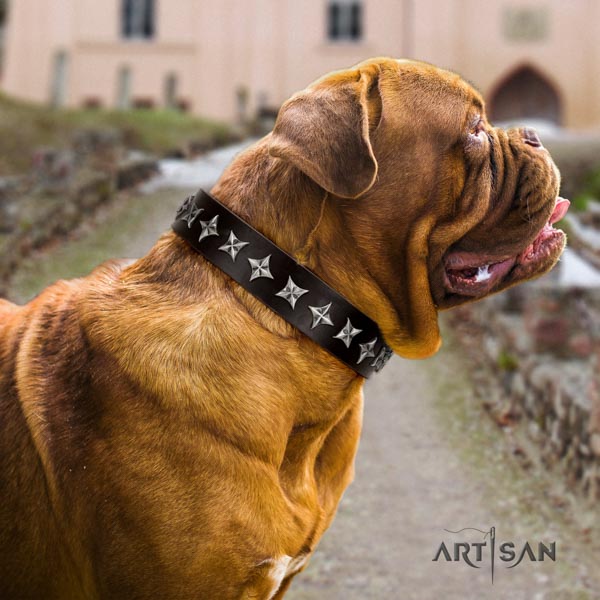 Dogue de Bordeaux designer leather collar for handy use