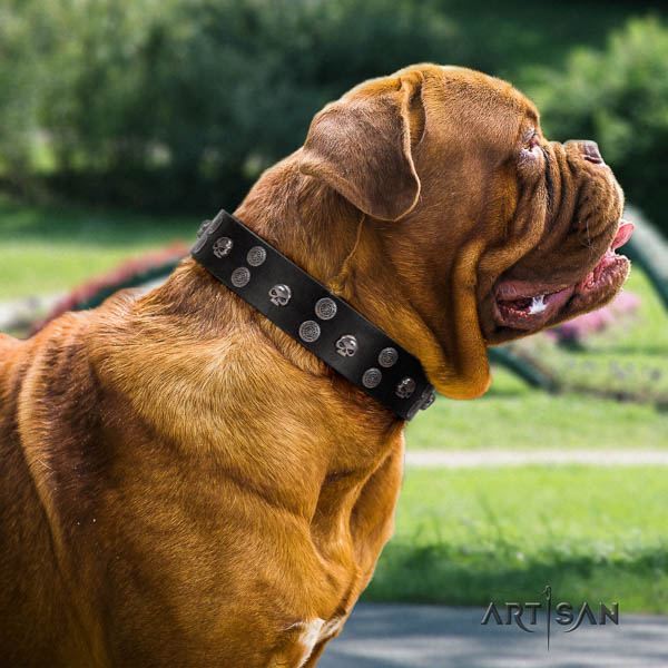 Dogue de Bordeaux decorated leather dog collar for your handsome dog