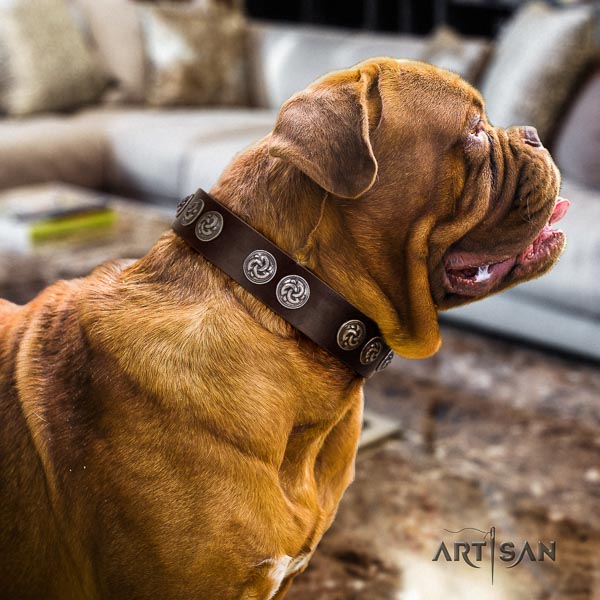 Dogue de Bordeaux full grain leather dog collar with studs for your attractive dog