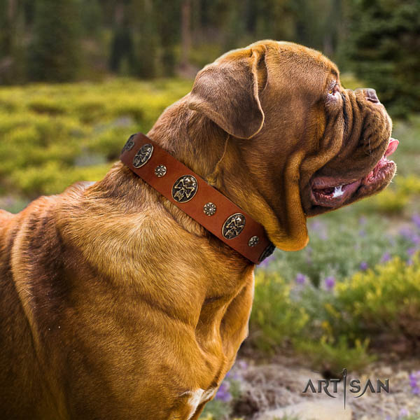 Dogue de Bordeaux adorned natural genuine leather dog collar for your stylish dog