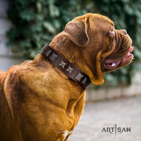 Dogue de Bordeaux embellished natural genuine leather dog collar for your beautiful pet