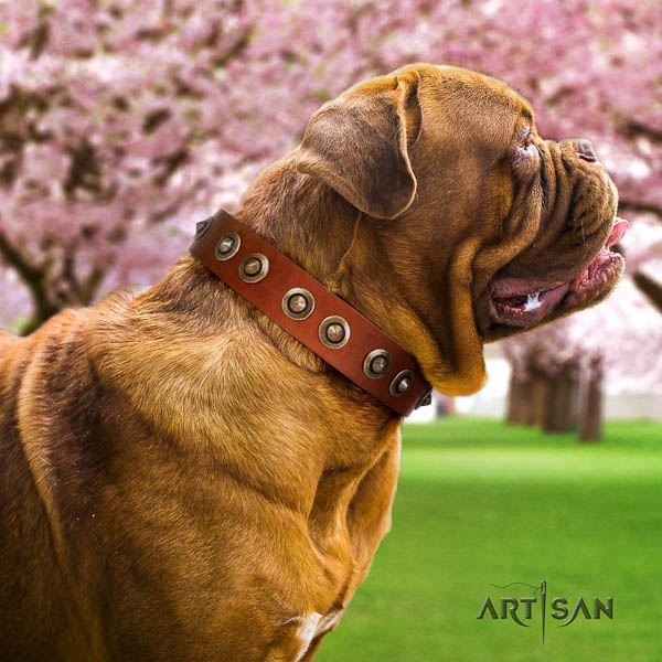 Dogue de Bordeaux decorated full grain genuine leather dog collar for your impressive four-legged friend