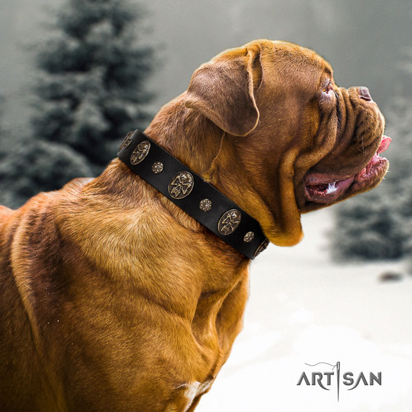 Dogue de Bordeaux embellished full grain natural leather dog collar for your handsome canine