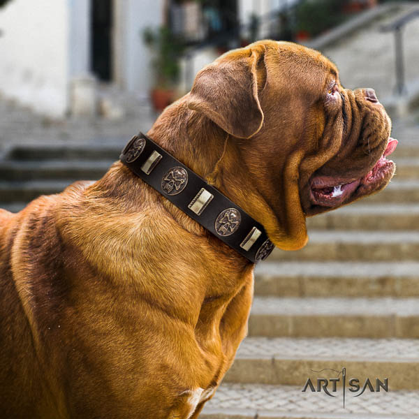 Dogue de Bordeaux adorned natural genuine leather dog collar for your attractive dog