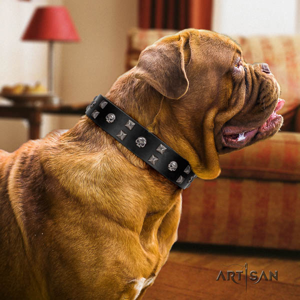 Dogue de Bordeaux embellished full grain natural leather dog collar for your stylish dog